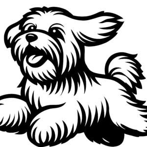 Vsepropejska Maltézský psík 4 dřevěná dekorace na zeď Rozměr (cm): 38 x 32