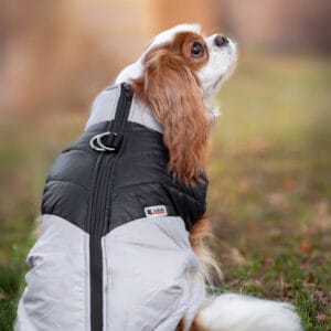 Vsepropejska Marco obleček pro psa na zip Barva: Šedá