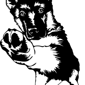 Vsepropejska Německý ovčák dřevěná dekorace na zeď Rozměr (cm): 35 x 19