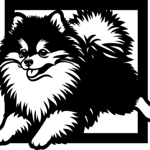 Vsepropejska Pomeranian 4 dřevěná dekorace na zeď Rozměr (cm): 38 x 34