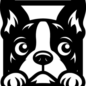 Vsepropejska Bostonský teriér 5 dřevěná dekorace na zeď Rozměr (cm): 38 x 34