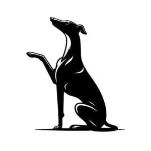 Vsepropejska Chrt 10 dřevěná dekorace na zeď Rozměr (cm): 38 x 32