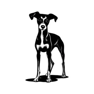 Vsepropejska Chrt 7 dřevěná dekorace na zeď Rozměr (cm): 38 x 23