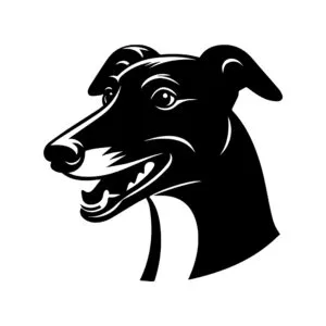 Vsepropejska Chrt 8 dřevěná dekorace na zeď Rozměr (cm): 38 x 37