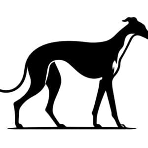 Vsepropejska Chrt 9 dřevěná dekorace na zeď Rozměr (cm): 38 x 26