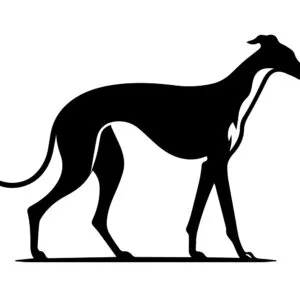 Vsepropejska Chrt 9 dřevěná dekorace na zeď Rozměr (cm): 38 x 26