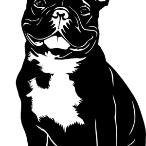 Vsepropejska Francouzský buldoček 17 dřevěná dekorace na zeď Rozměr (cm): 38 x 22