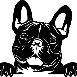 Vsepropejska Francouzský buldoček 17 dřevěná dekorace na zeď Rozměr (cm): 38 x 32