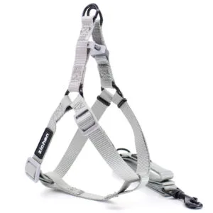 Vsepropejska Georgia postroj pro psa s vodítkem Barva: Šedá
