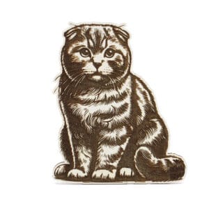 Vsepropejska Gravírovaný magnet ve tvaru kočky Barva: Bílá