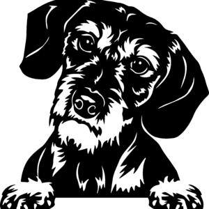 Vsepropejska Jezevčík 9 dřevěná dekorace na zeď Rozměr (cm): 38 x 37