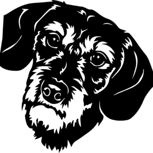 Vsepropejska Jezevčík 9 dřevěná dekorace na zeď Rozměr (cm): 38 x 36