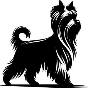 Vsepropejska Jorkšírský teriér 14 dřevěná dekorace na zeď Rozměr (cm): 38 x 34