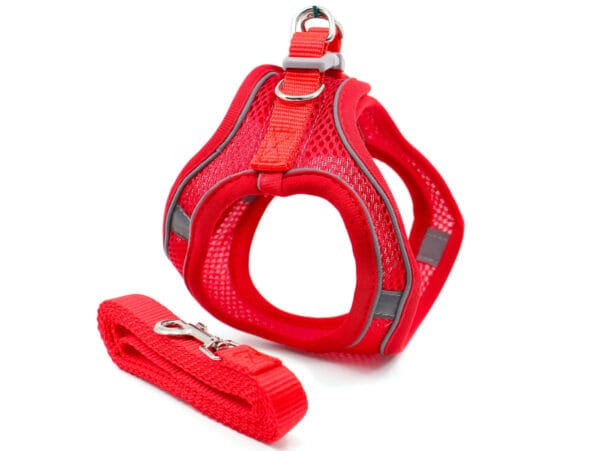 Vsepropejska Neve postroj pro psa s vodítkem | 23 – 49 cm Barva: Červená