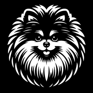 Vsepropejska Pomeranian 4 dřevěná dekorace na zeď Rozměr (cm): 38 x 38