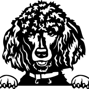 Vsepropejska Pudl 5 dřevěná dekorace na zeď Rozměr (cm): 38 x 33