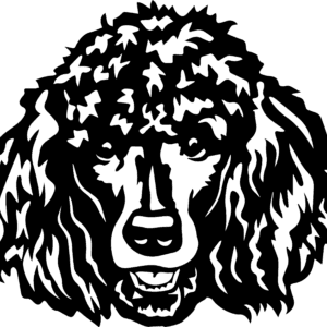 Vsepropejska Pudl 5 dřevěná dekorace na zeď Rozměr (cm): 38 x 34