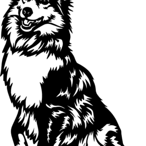 Vsepropejska Sheltie 2 dřevěná dekorace na zeď Rozměr (cm): 38 x 24