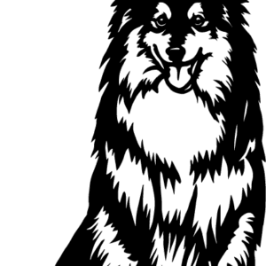 Vsepropejska Sheltie 2 dřevěná dekorace na zeď Rozměr (cm): 38 x 25