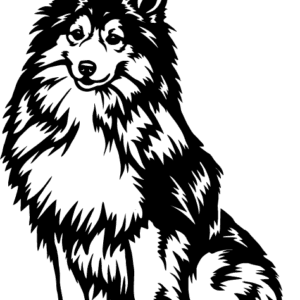 Vsepropejska Sheltie 2 dřevěná dekorace na zeď Rozměr (cm): 38 x 28