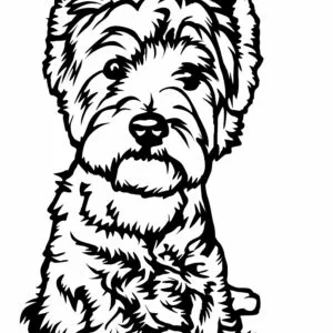 Vsepropejska West highland teriér 4 dřevěná dekorace na zeď Rozměr (cm): 38 x 28