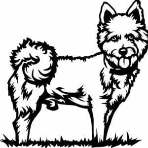 Vsepropejska West highland teriér 5 dřevěná dekorace na zeď Rozměr (cm): 38 x 28