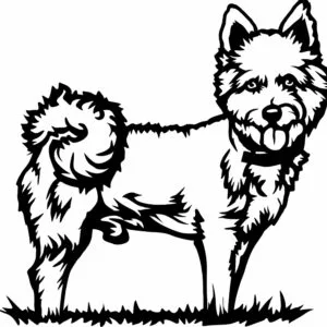 Vsepropejska West highland teriér 5 dřevěná dekorace na zeď Rozměr (cm): 38 x 28