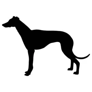 Vsepropejska Whippet 1 dřevěná dekorace na zeď Rozměr (cm): 38 x 26