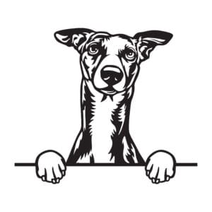 Vsepropejska Whippet 2 dřevěná dekorace na zeď Rozměr (cm): 38 x 26