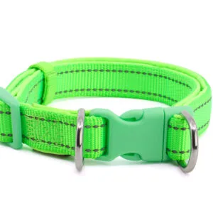 Vsepropejska Blanka obojek s podšívkou pro psa | 21 - 54 cm Barva: Zelená