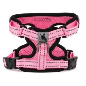 Vsepropejska Serg postroj s prodyšným povrchem pro psa | 28 – 78 cm Barva: Růžová