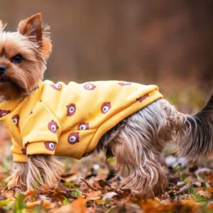 Vsepropejska Wapi hebká mikina pro psa Barva: Hnědo-žlutá