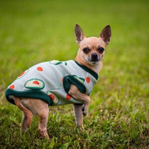 Vsepropejska Wabi mikina s avokádem pro psa Barva: Zelená