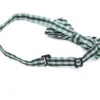Britain zelený károvaný motýlek pro psa | 20 - 44 cm Barva: Zelená - Image 2