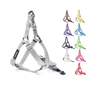 Vsepropejska Georgia postroj pro psa s vodítkem Barva: Zelená