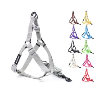 Vsepropejska Georgia postroj pro psa s vodítkem Barva: Zelená