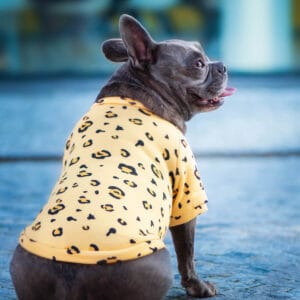 Vsepropejska Wapi hebká mikina pro psa Barva: Tygrovaná