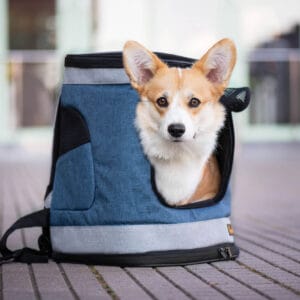 Dle váhy psa: do 6 kg