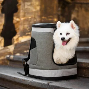 Path sportovní batoh pro psa | do 6 Kg Barva: Šedá