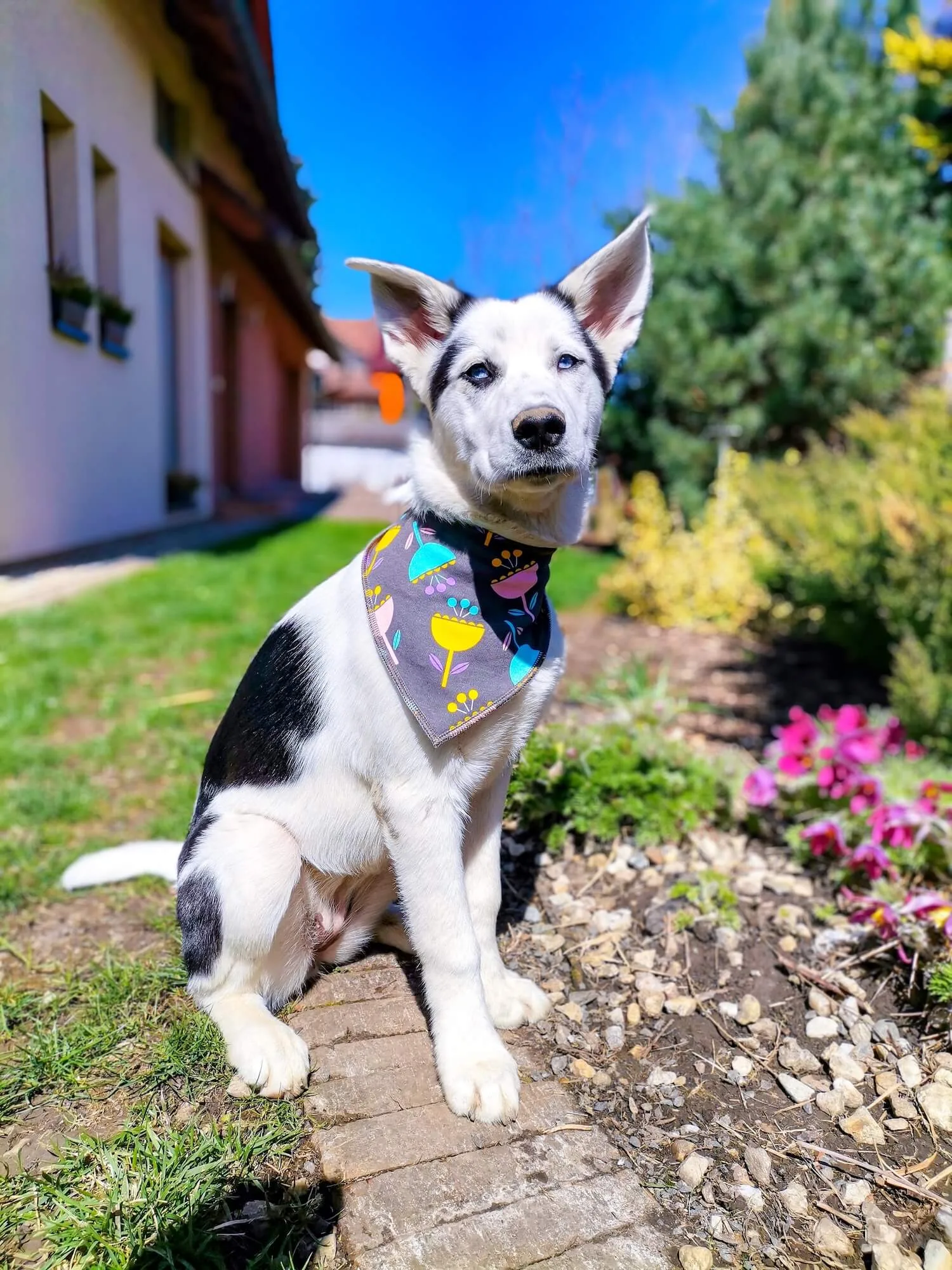 Vsepropejska Bloom hnědý šátek pro psa s květinou