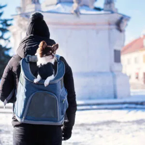 Seb batoh pro psa | do 3 Kg Barva: Modrá