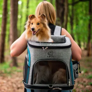 Smart šedo-modrý batoh pro psa | do 6 Kg Barva: Modrá