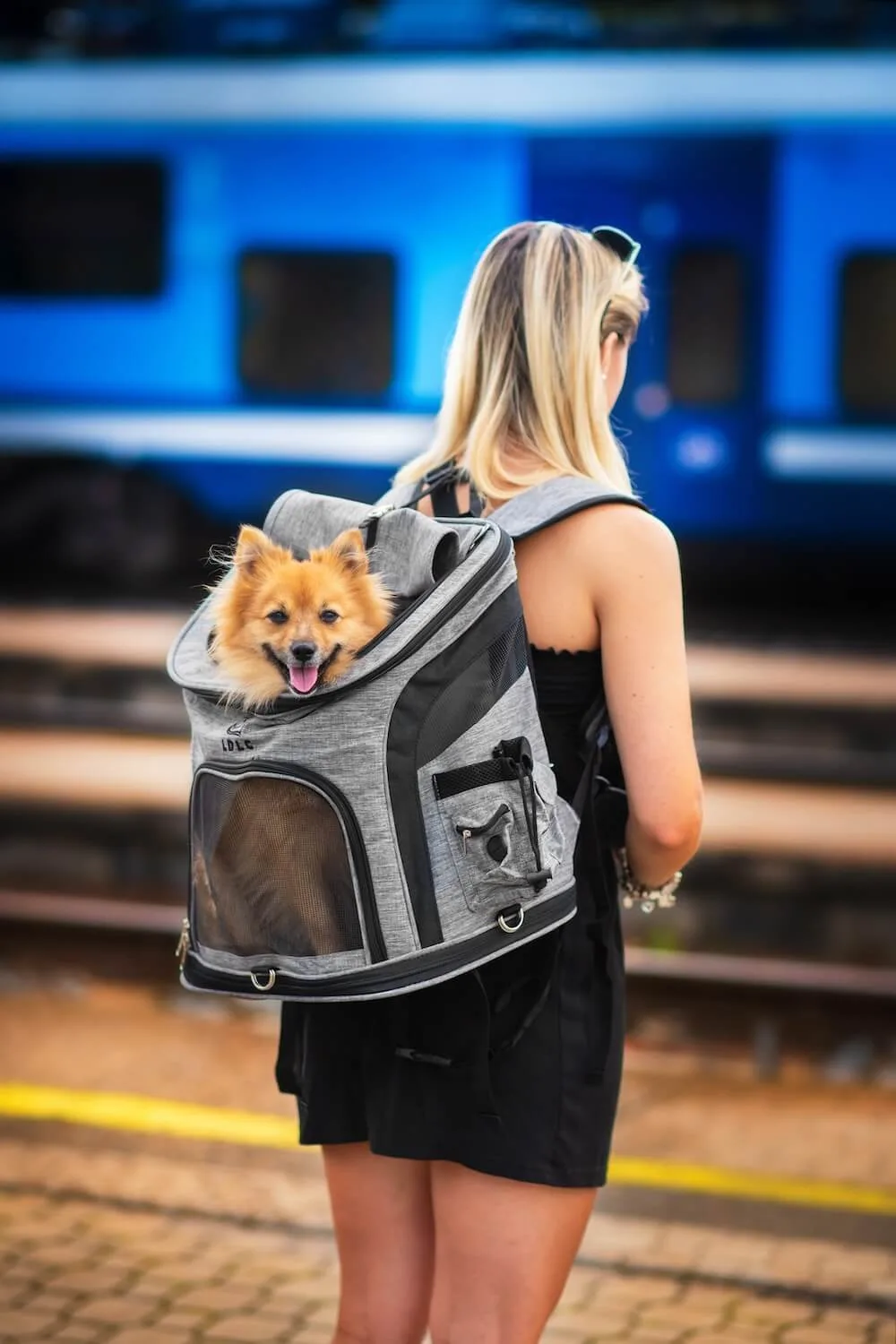 Dle váhy psa: do 6 kg