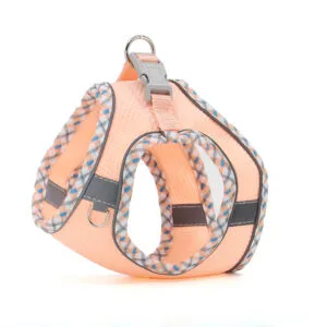 Vsepropejska Neve postroj pro psa s vodítkem | 22 – 46 cm Barva: Lososová