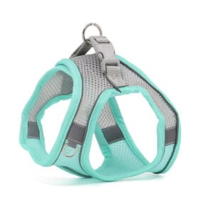 Vsepropejska Neve postroj pro psa s vodítkem | 22 – 46 cm Barva: Tyrkysová
