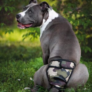 Fixed maskáčové hárací kalhotky pro psa Obvod slabin (cm): 66 - 80