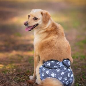 Gapa hárací kalhotky pro psa - vsepropejska.cz Barva: Šedá