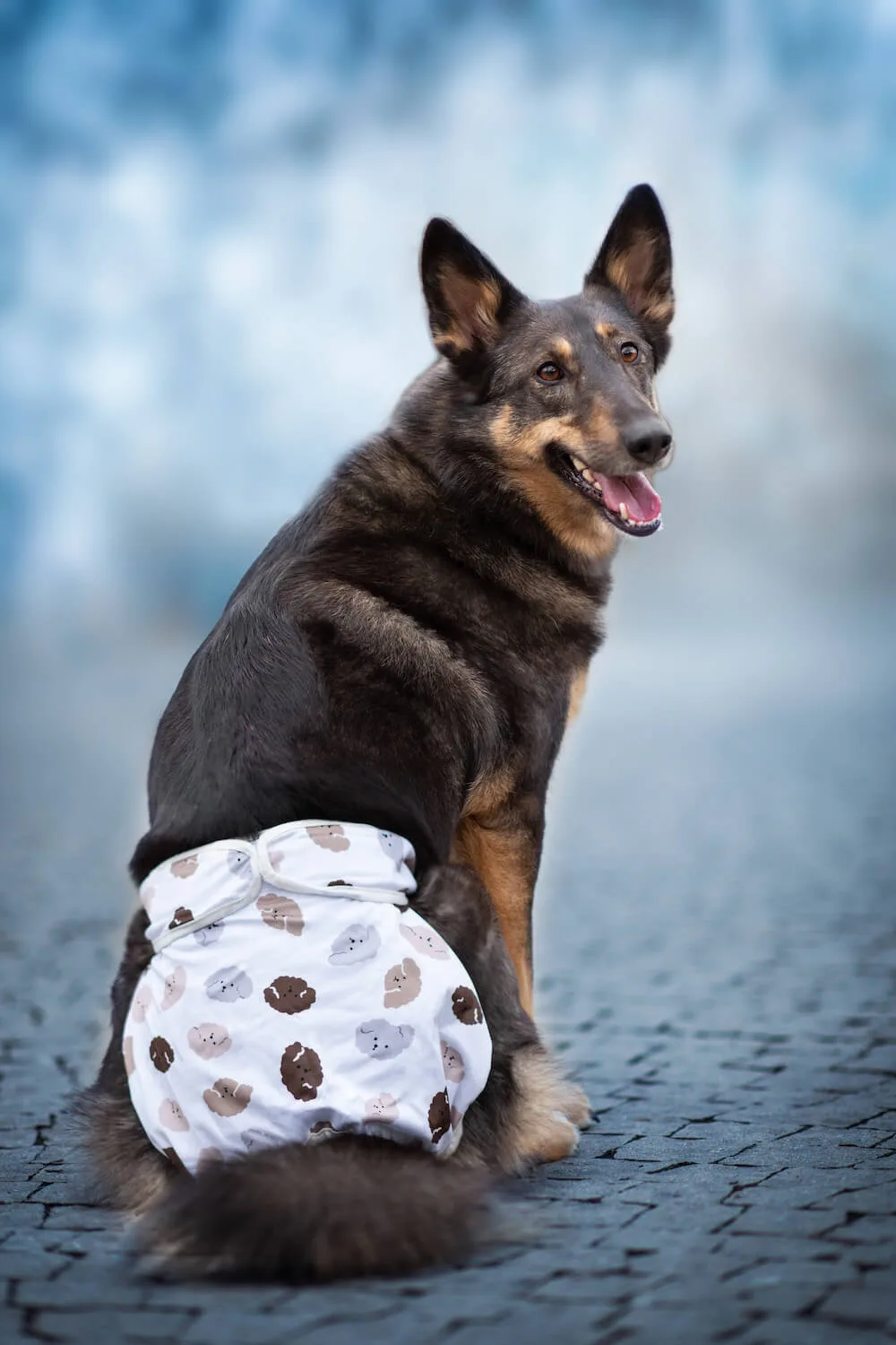 Obvod slabin (cm): 20 - 24