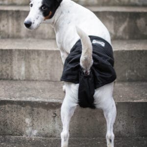 Lemi hárací kalhotky pro psa - vsepropejska.cz Barva: Černá