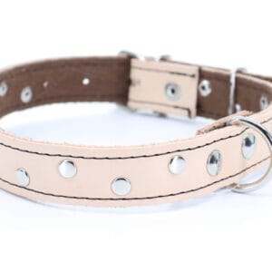 Loon kožený obojek pro psa | 22 – 65 cm Barva: Béžová